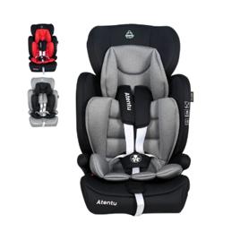 Cadeirinha Infantil Para Carro 9-36kg Passeio Com Segurança