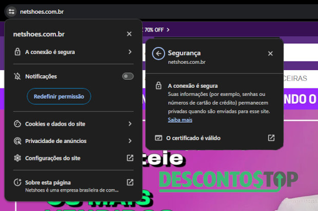 Captura de tela do site Netshoes com demonstração do certificado SSl.