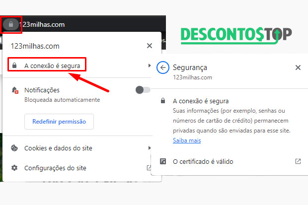 Captura de mostrando como verificar os certificados de segurança do site