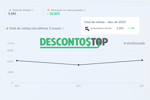 captura de tela do site SimilarWeb com os dados da PneuStore.