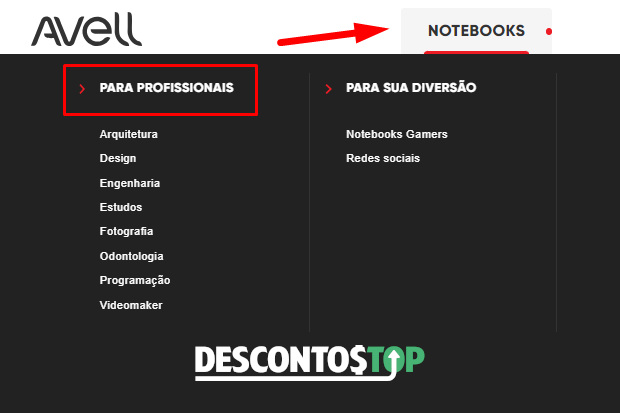 Captura de tela das opções possíveis na categoria Profissional