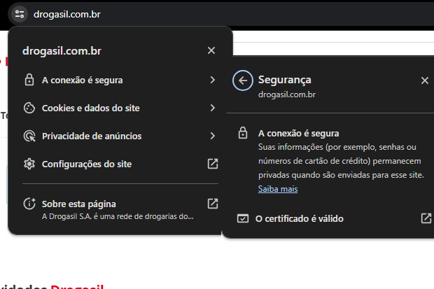 Captura de tela do processo de verificação dos certificados de segurança do site Drogasil