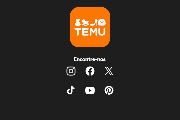 Captura de tela do site Temu, onde fica a imagem das logos das redes sociais em que a loja se encontra. Além disso também mostra a logo da loja.